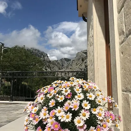 Bed & Breakfast Paklenica 4*